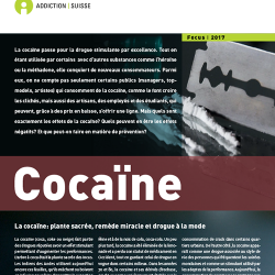 Focus - Cocaïne